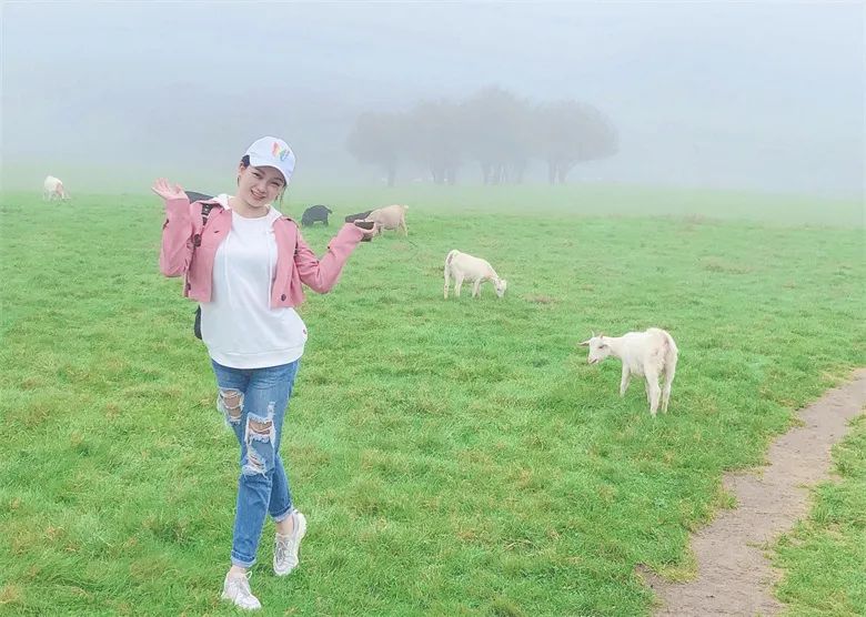 新員工特輯②|歡迎加入，夢(mèng)想啟航！